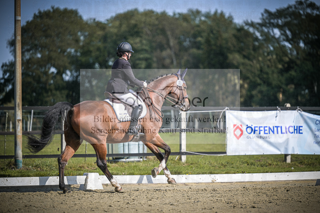DOS_1084 | Entdecke hochwertige Reitturnierfotos von Foto Oger. Professionell, emotional und authentisch – jetzt Lieblingsmomente im Shop bestellen.Deutschlandweite Turnierfotografie. - Realisiert mit Pictrs.com