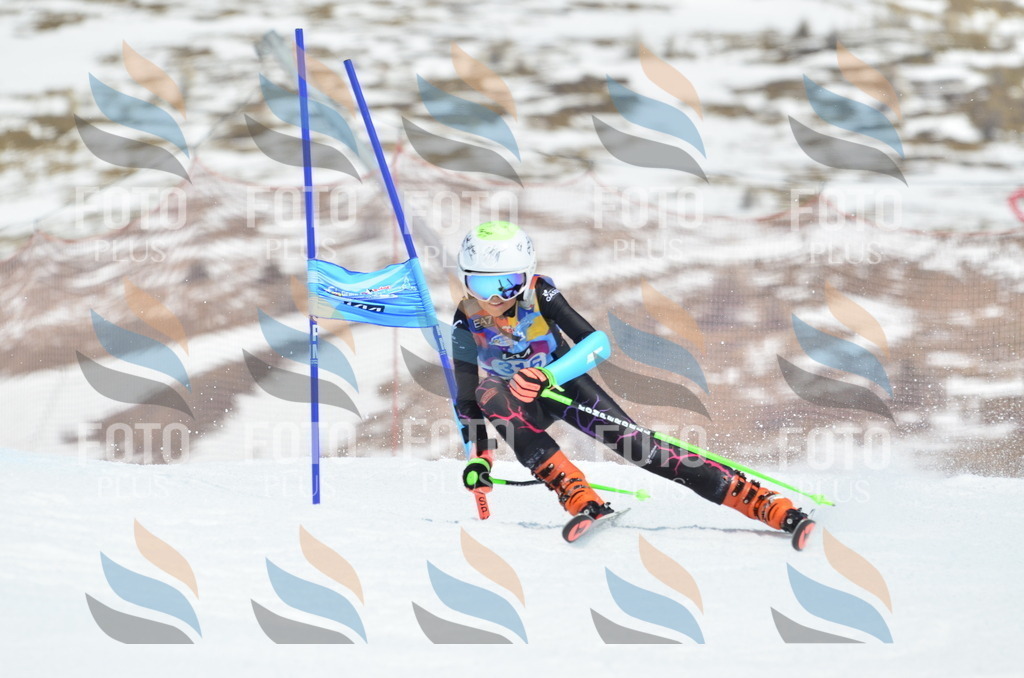 _ELE2373 | holidayphoto