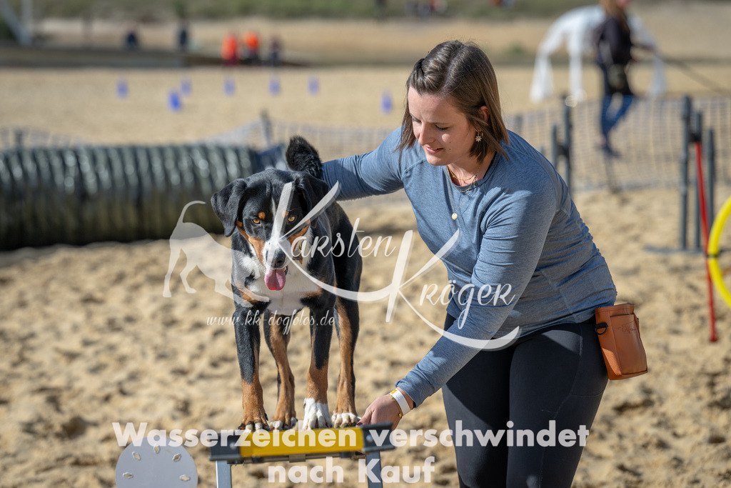 1442_ZZ91899 | kk-dogfotos