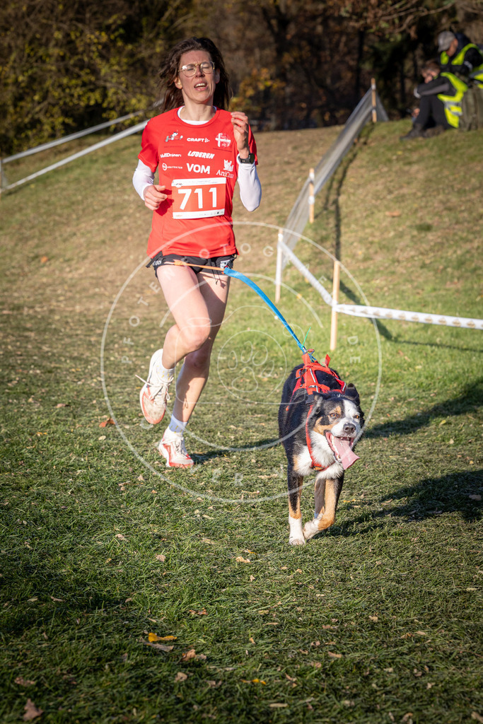 CaniXpix_0L8A9590 | Hundefotografie, Tierfotograf, Pfotenfotografie, Fotoshooting Hund, Hunde Portrait, Hundesport, Hundeportraits, Heideshooting, Hunde, Sportfotograf, Hundefotograf, Turnierhundsport, THS,  - Realisiert mit Pictrs.com