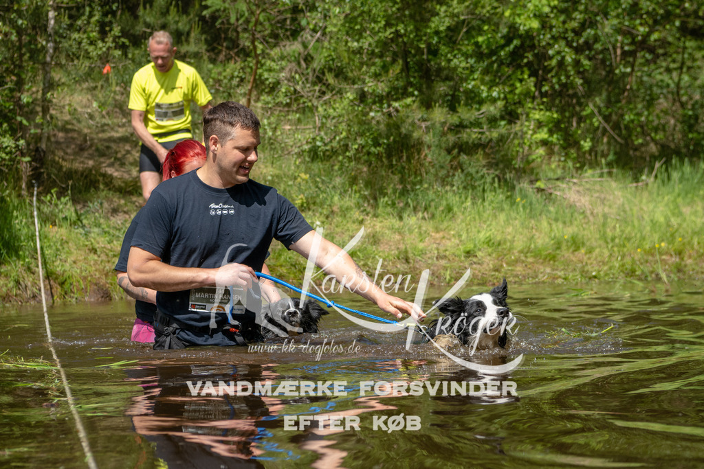 1213DKK992196 | kk-dogfotos