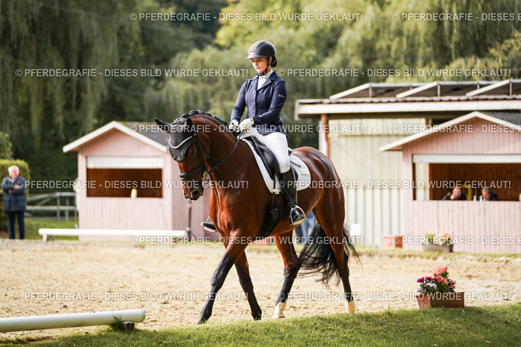 DSC09377 | Pferdegrafie