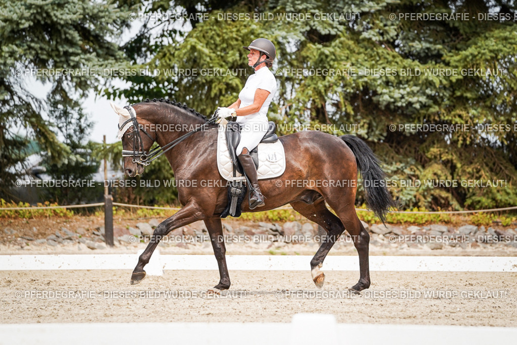 DSC06400 | Pferdegrafie