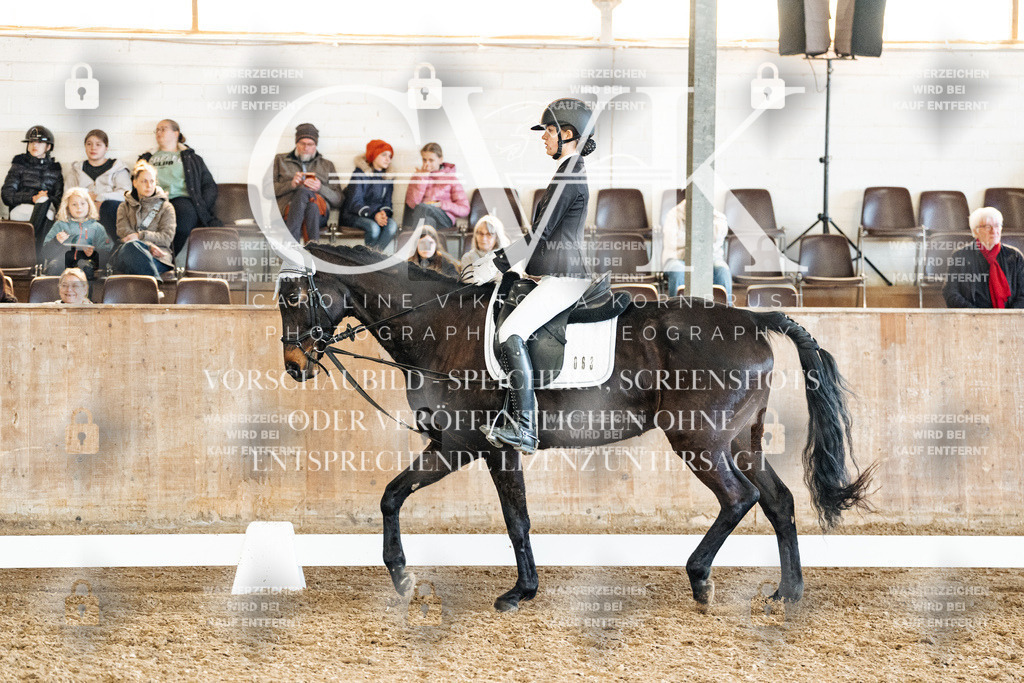 CK900282 | Turnierfotografie Pferdefotografie Trier Rheinland-Pfalz Pferdesport Reitsport Tierfotografie Sportfotografie Pferdevideo Pferdevideografie Equestrianvideography equestrianphotography  - Realized with Pictrs.com