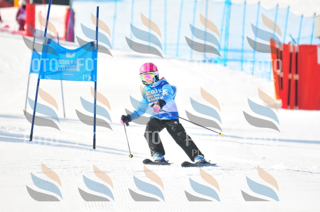 B8956 | holidayphoto