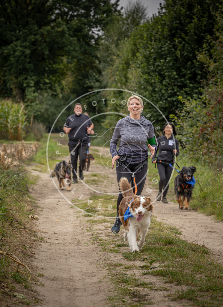 Pfotenfotografie_DV3A6241 | Hundefotografie, Tierfotograf, Pfotenfotografie, Fotoshooting Hund, Hunde Portrait, Hundesport, Hundeportraits, Heideshooting, Hunde, Sportfotograf, Hundefotograf, Turnierhundsport, THS,  - Realisiert mit Pictrs.com