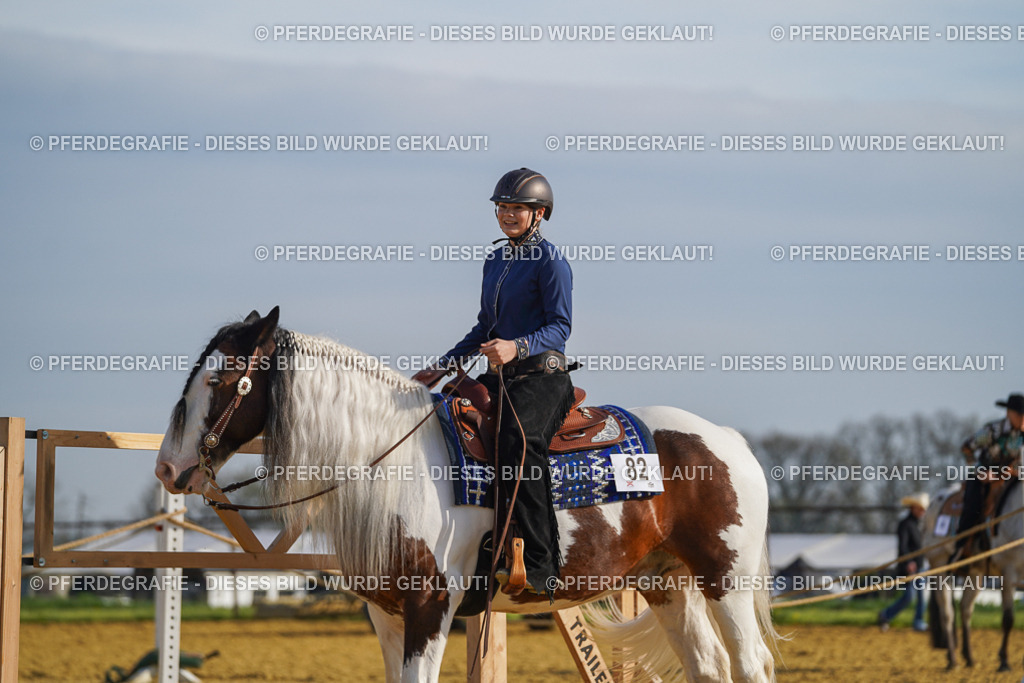 DSC00941 | Pferdegrafie