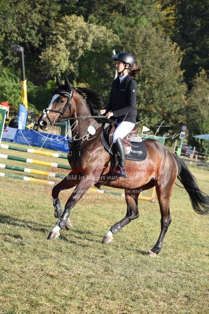 DSC_5137 | Pferde- und Turnierfotografie in Westsachsen. Pferdeportraits, Auftragszeichnungen und intuitive Kunst.