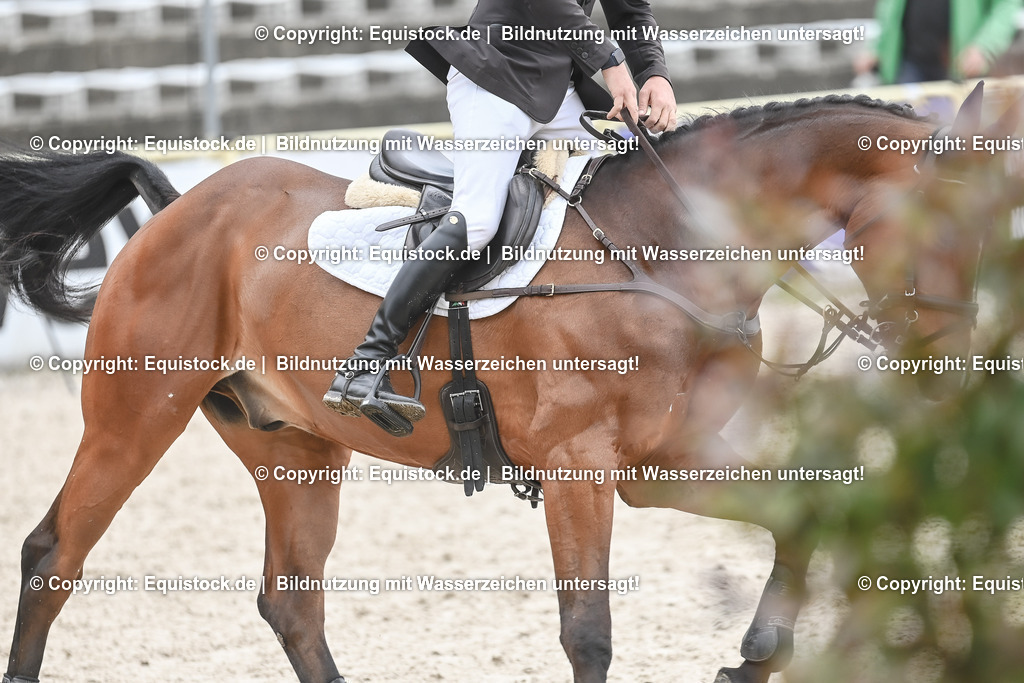 20230514_CCI4_Springen_0090 | equistock
