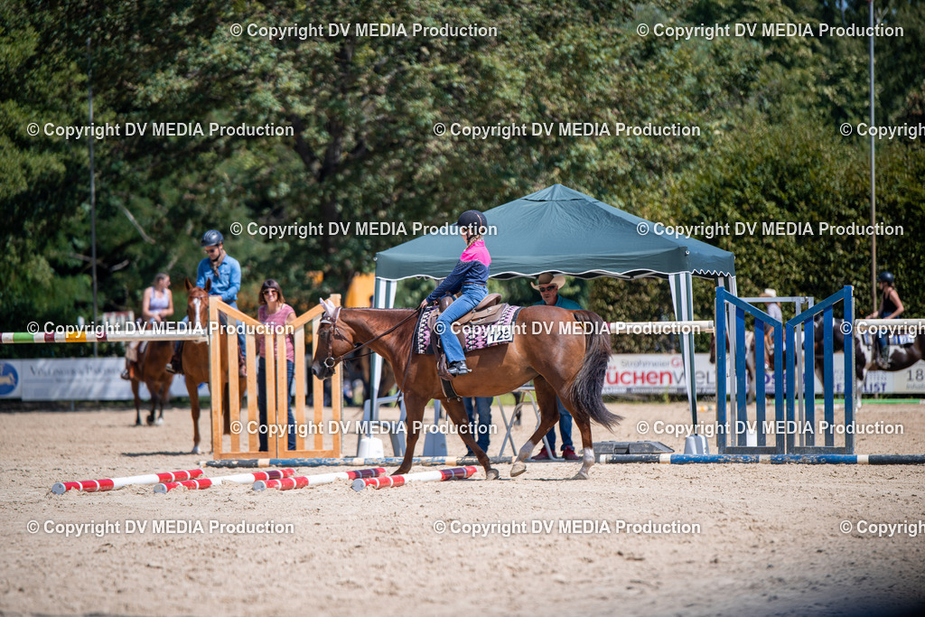 ZS1_1252 | dv-media-shop - Realisiert mit Pictrs.com