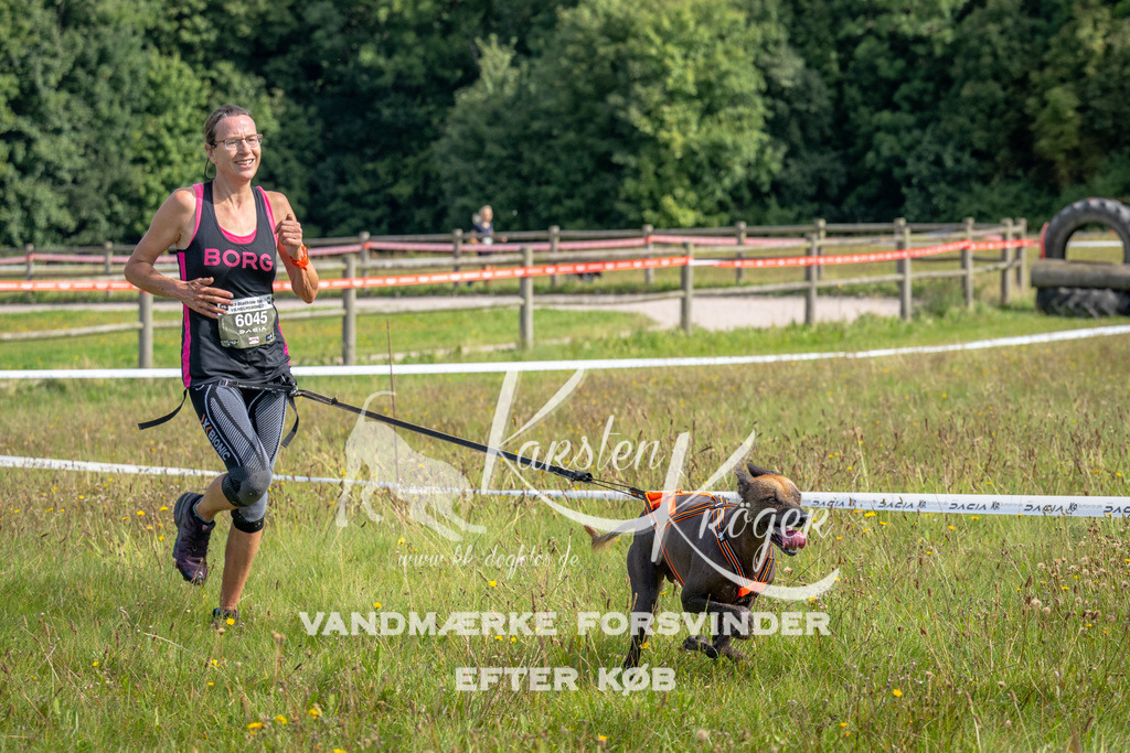 1129_ZZ92648 | kk-dogfotos