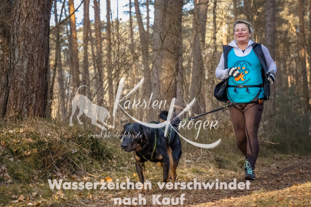 0815_ZZ90051-Bearbeitet | kk-dogfotos