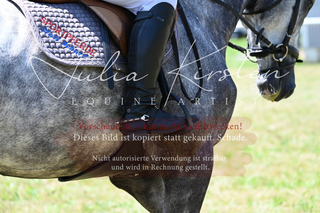 DSC_0540 | Pferde- und Turnierfotografie in Westsachsen. Pferdeportraits, Auftragszeichnungen und intuitive Kunst.