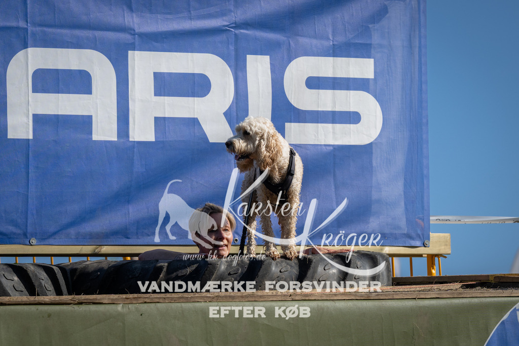 1019_ZZ98190 | kk-dogfotos