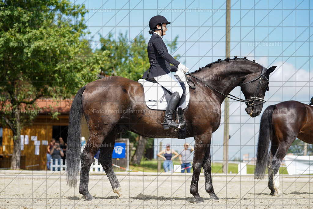 20230826-FAH05453 | Forstinning, 2023, Dressurturnier, Turniersportbilder, Turnierfotografen Bayern, Fotoagentur Herrmann, Reitsportfotografie, Turnierbilder