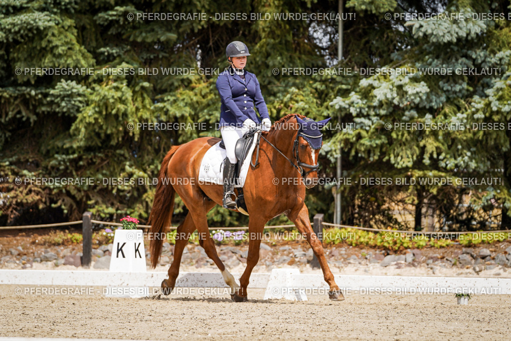 DSC02468 | Pferdegrafie