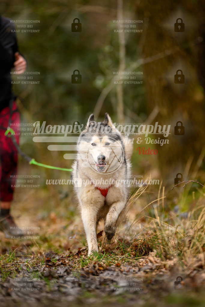 MompixPhotography_CDSM24_SA_Fun-1 | PayLife