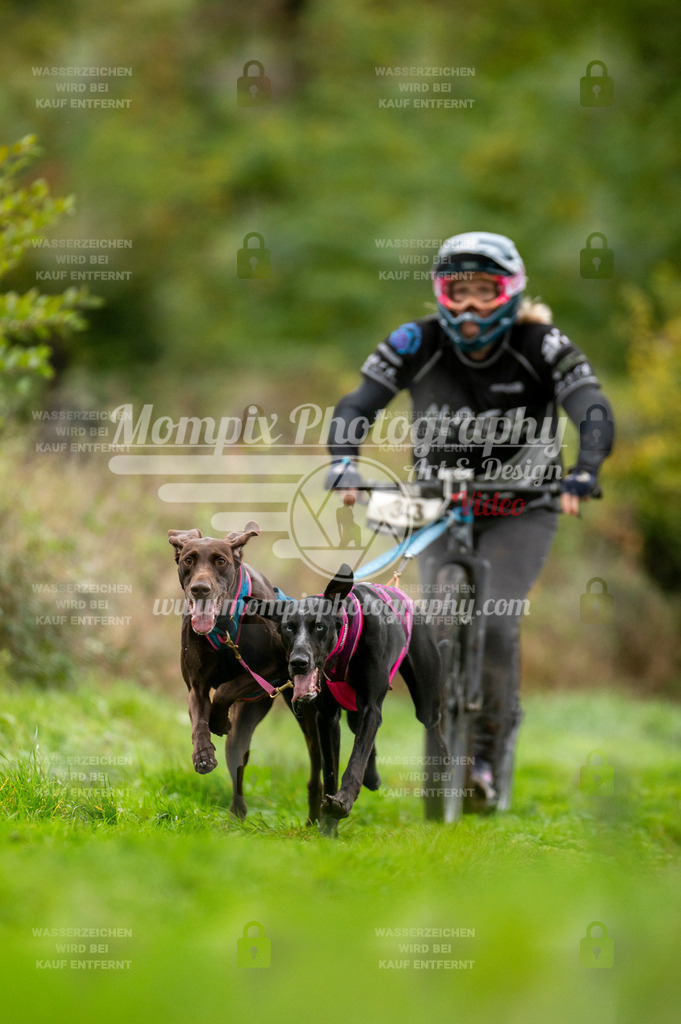 TSB_2023_E6_DS2-6 | PayLife