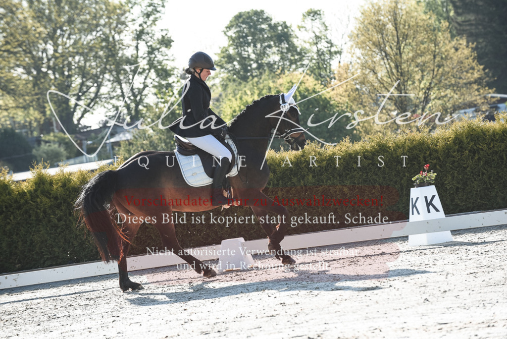 20230518_JK-Röhrsdorf-09-0392 | Pferde- und Turnierfotografie in Westsachsen. Pferdeportraits, Auftragszeichnungen und intuitive Kunst.
