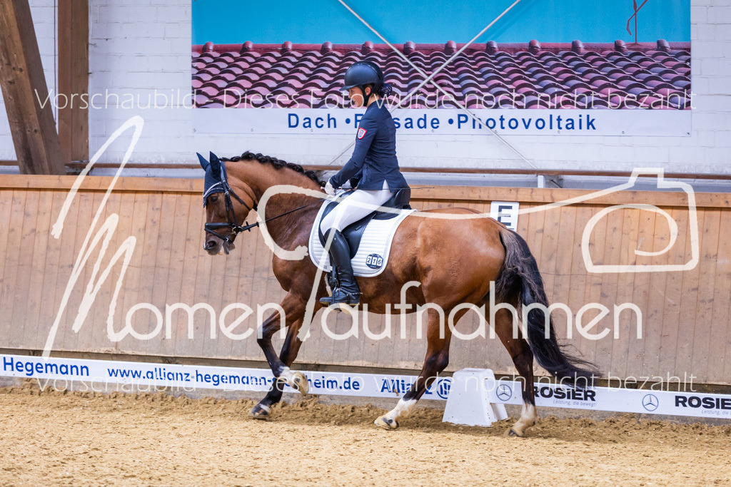 Sth-A-Dre-2St-228 | MomenTaufnahmen Pferdesportfotos