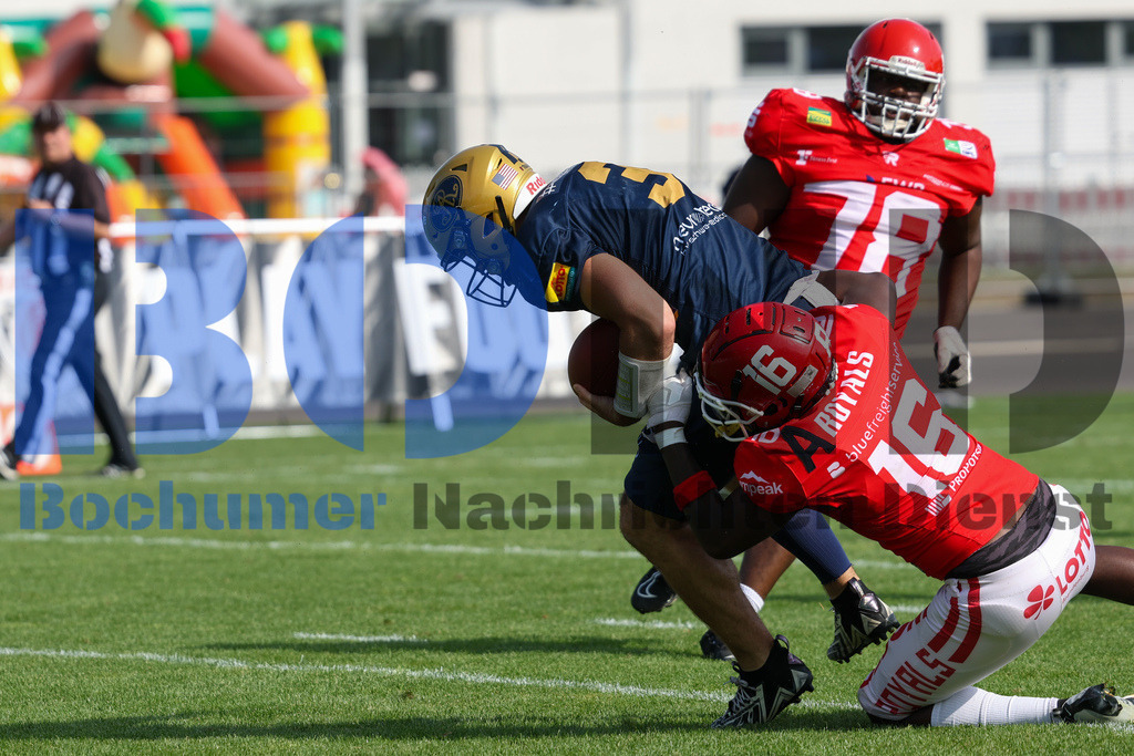 GFL: Potsdam Royals vs. Dresden Monarchs{date} -  | {headline}(Foto: Thomas Sobotzki / BOND) - Realisiert mit Pictrs.com