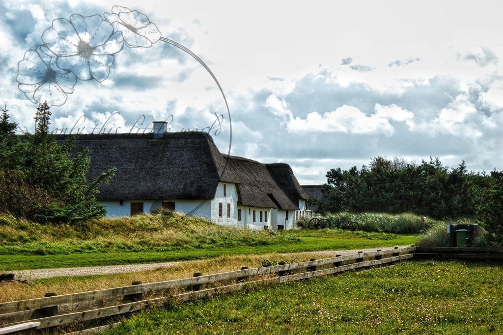 IMG_8231-02 | only.this.little.world - Realisiert mit Pictrs.com