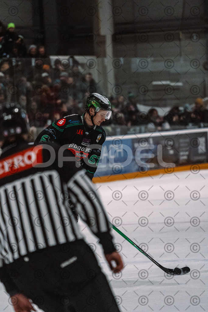 Alligators_vs_Peiting_04_01_2026-072 | Höchstadt Alligators Fotogalerie: Eishockey-Action aus Franken. Professionelle Spielfotos, Portraits & Stadionbilder zum Download. Jetzt entdecken! - Realized with Pictrs.com