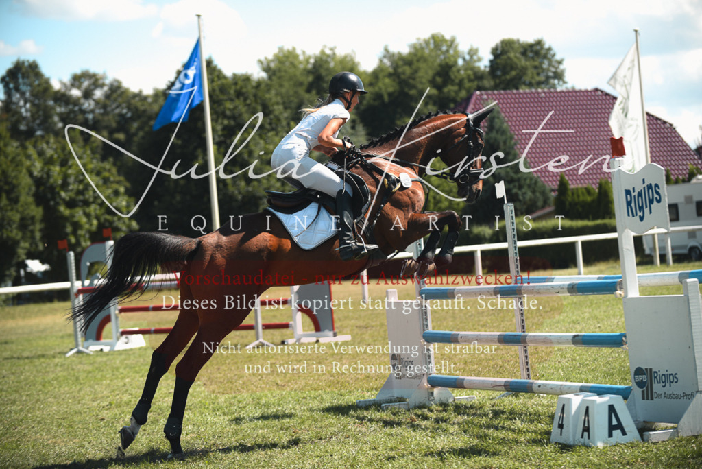 DSC_7028 | Pferde- und Turnierfotografie in Westsachsen. Pferdeportraits, Auftragszeichnungen und intuitive Kunst.