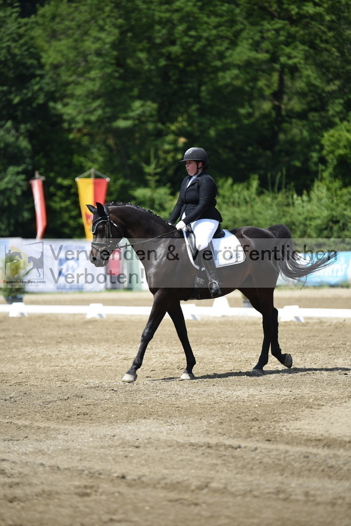 DSC_8773 | equestrian-live-com