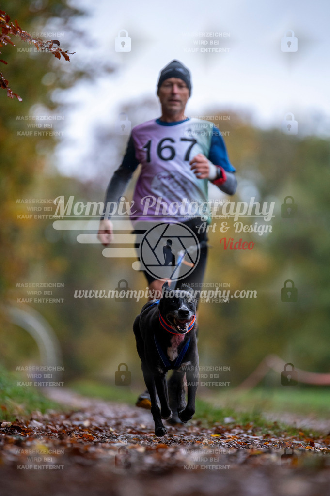 DBT_DAKM_SA_4_11_2023_Canicross-82 | PayLife