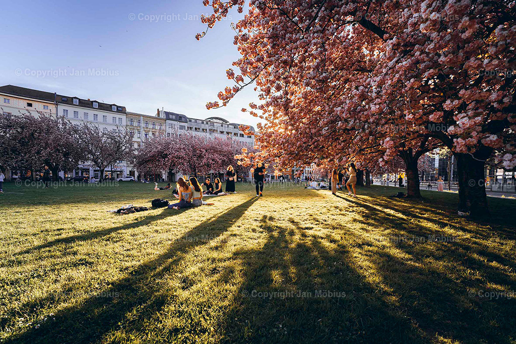 _DSC3652 | Leipzig Wandbilder Drucke Prints Leinwand Stadtmotive Leipzig Fotosdruck Kunstdrucke Bilder Leipzig Stadtansichten Acrylglasbilder Leipzig Wanddeko Fine Art Prints Wandbilder Büro Leipzig Bilder Praxis Zuhause Bilderdruck Poster Posterlounge Kunstdrucke - Realisiert mit Pictrs.com