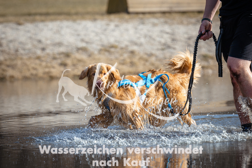 1124_ZZ94158 | kk-dogfotos