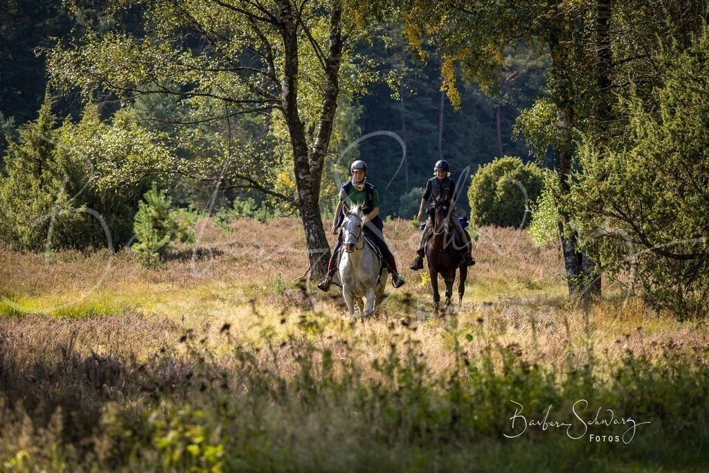 DdLH-WehlenerHeide_2025-09-20_155 | Fotografie, Veranstaltungs-Fotografie, Pferde-Fotografie, Landschafts-Fotografie, Reise-Fotografie - Realisiert mit Pictrs.com