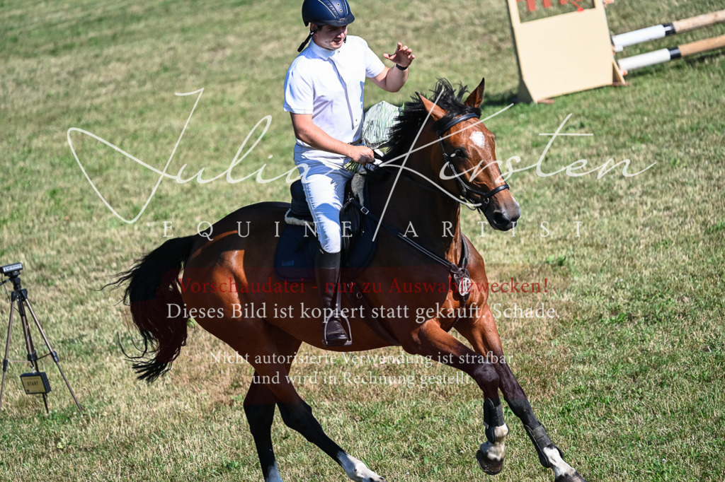 DSC_2622 | Pferde- und Turnierfotografie in Westsachsen. Pferdeportraits, Auftragszeichnungen und intuitive Kunst.