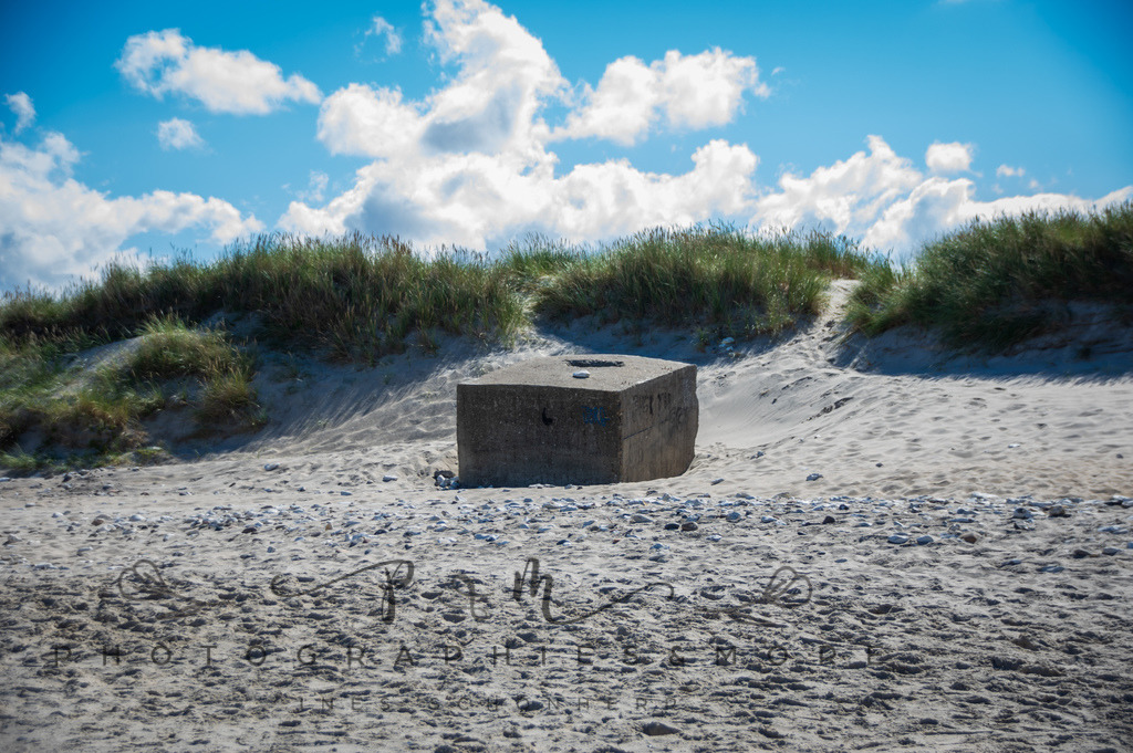 _Sommer2022-0650 | Photographies and more - Realisiert mit Pictrs.com