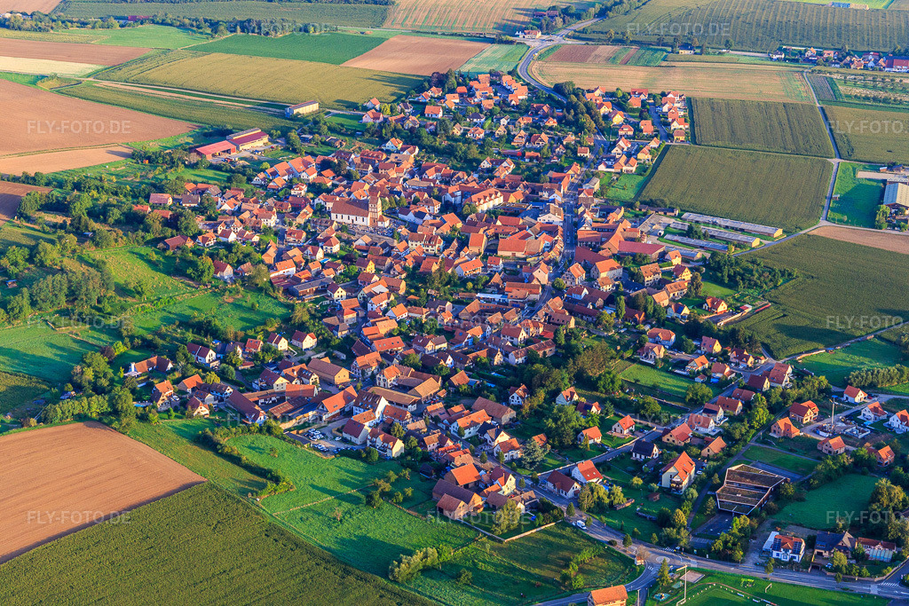 Luftbild: Ortsansicht von Südosten in Willgottheim im Bundesland Bas-Rhin in Frankreich. – Foto: IMG_138038.jpg vom 19.08.2023 durch Werner Riehm/FLY-FOTO.de – Auflösung des Originals: 5472 x 3648 px
