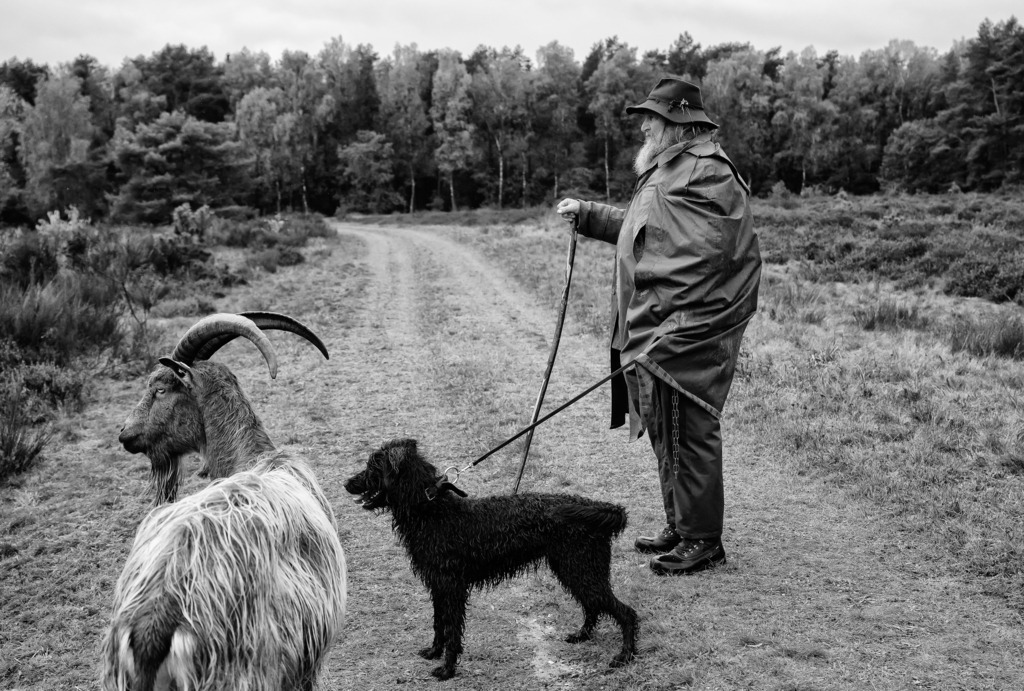 wanderschaefereien-schleswig-holstein-041 | Die Schäferei Kimmel erhält nicht nur Beweidungsaufträge vom Land, sondern auch von der Bundeswehr. Eine dieser Flächen ist
der ökologisch besonders wertvolle Truppenübungsplatz Langwedel im Kreis Rendsburg-Eckernförde, der seit vielen Jahren von John Kimmel und seinem Team betreut wird. - Realisiert mit Pictrs.com