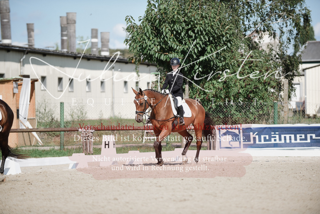 DSC_9892 | Pferde- und Turnierfotografie in Westsachsen. Pferdeportraits, Auftragszeichnungen und intuitive Kunst.