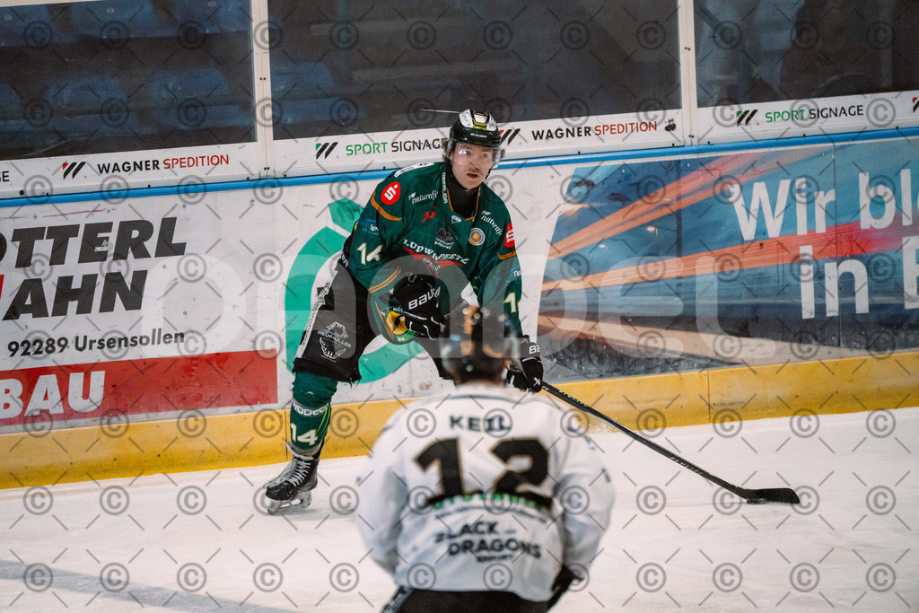 Alligators_vs_Erfurt_06_09_2026-19 | Die Fotogalerie von Daddel: professionelle Bilder von Sport, Events und Unternehmen aus Franken. Jetzt Galerien durchstöbern und Lieblingsfotos bestellen. - Realisiert mit Pictrs.com