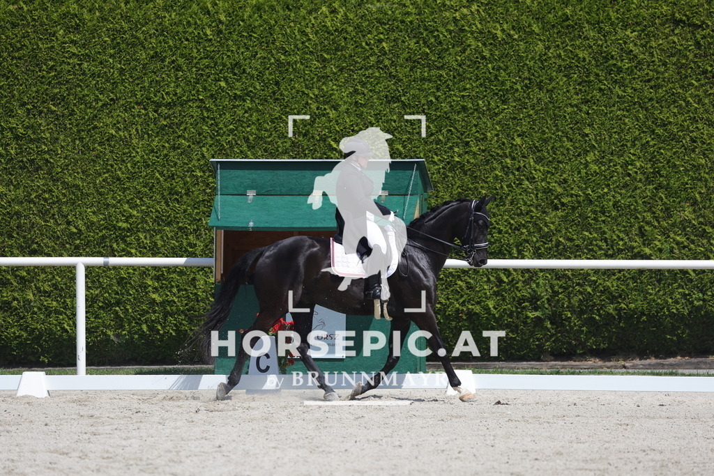 0P6A6497 | Willkommen bei Brunnmayr - Design & Fotografie – Ihrem Spezialisten für Reitturniere und Pferdeveranstaltungen in Oberösterreich, Salzburg und Bayern! Seit über 17 Jahren sind wir leidenschaftlich dabei.