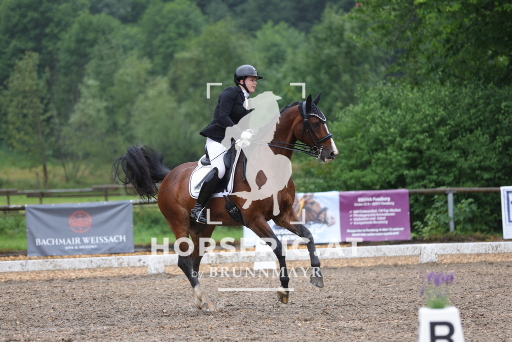0P6A9152 | Willkommen bei Brunnmayr - Design & Fotografie – Ihrem Spezialisten für Reitturniere und Pferdeveranstaltungen in Oberösterreich, Salzburg und Bayern! Seit über 17 Jahren sind wir leidenschaftlich dabei.