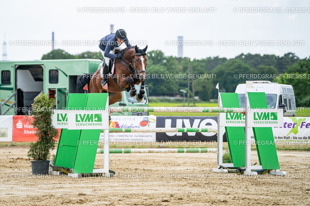 DSC07009 | Pferdegrafie