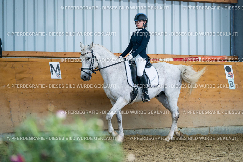 DSC05533 | Pferdegrafie