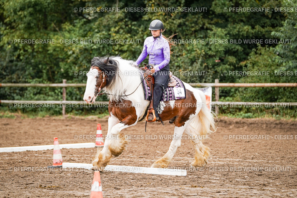 DSC03454 | Pferdegrafie