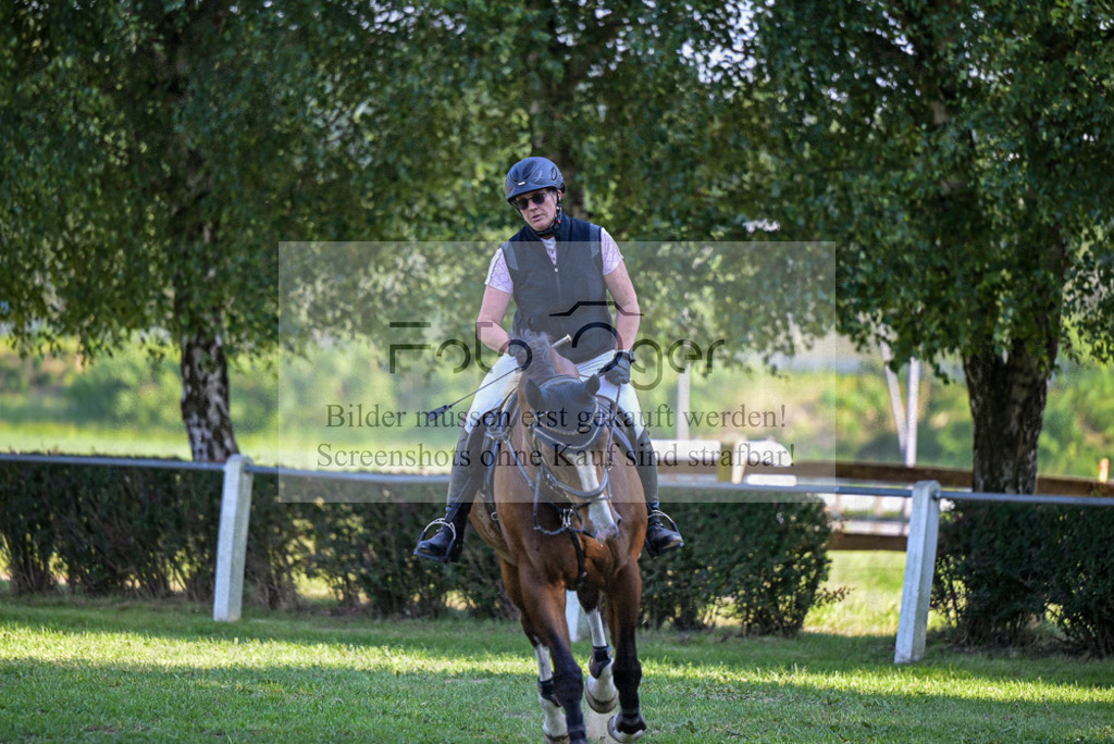 Reitturnier Voxtrup | Entdecke hochwertige Reitturnierfotos von Foto Oger. Professionell, emotional und authentisch – jetzt Lieblingsmomente im Shop bestellen. - Realisiert mit Pictrs.com