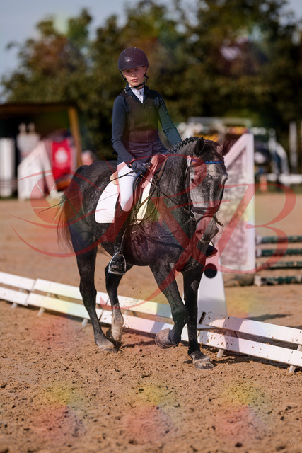 2026_10_03_Siefer-Hof_120028_Z81_02272368 | Professionelle Reitsport-, Turnier- und Eventfotografie von Robert Broda. Galerien mit ausgewählten und bearbeiteten Bildern direkt online ansehen und bestellen.
