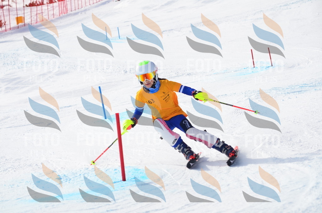 C7848 | holidayphoto