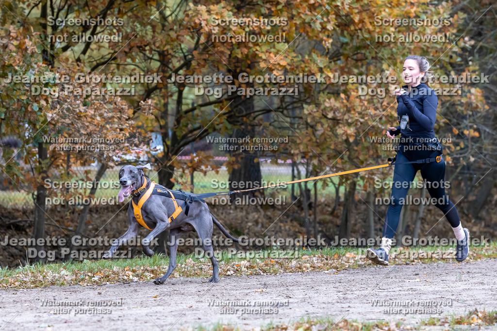 Dog Paparazzi - SD CaniX Championship 2025-434 | Dog Paparazzi Jeanette Grottendiek Fotografie & Videografie - Realisiert mit Pictrs.com