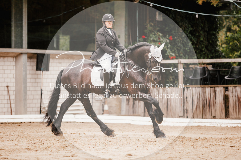 3I6A7769 | Stimmungsvolle Portraits und Reitsportfotografie im Ruhrgebiet und im Münsterland.

Pferdefotografie, Hundefotografie, Tierfotografie, Reportagen, Portraits von Tier und Mensch, Turnierfotografie in Bochum, Recklinghausen, Marl, Haltern am See, Dülmen.. - Realisiert mit Pictrs.com