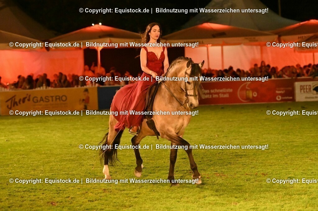 20230526_Pferdenacht_1372 | equistock